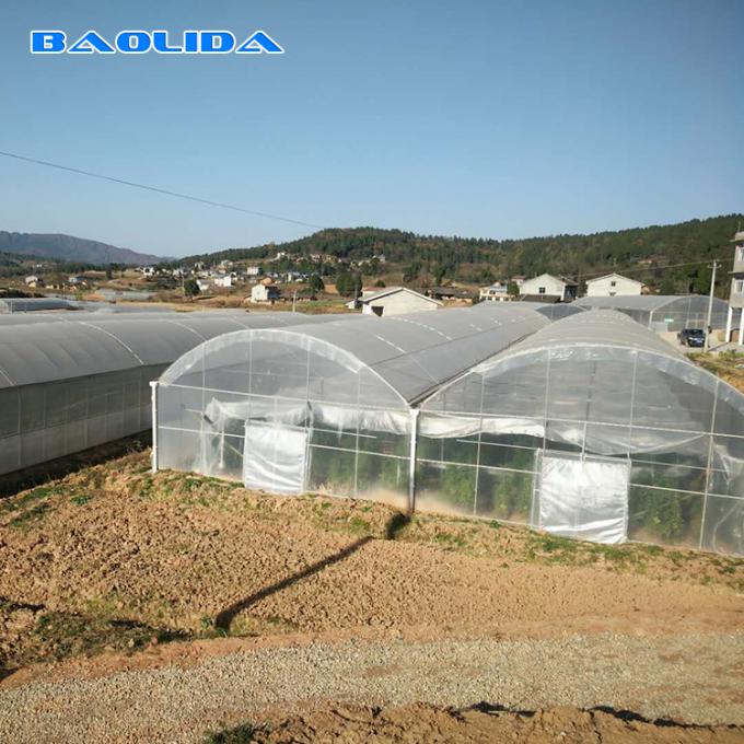 Dome Roof Structure Strong Plastic Greenhouse With Inside Shading System