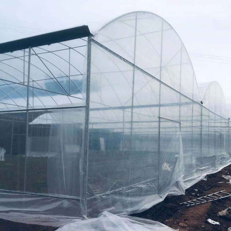 Agricultural Polyethylene Foil Greenhouse Hot Galvanized Steel