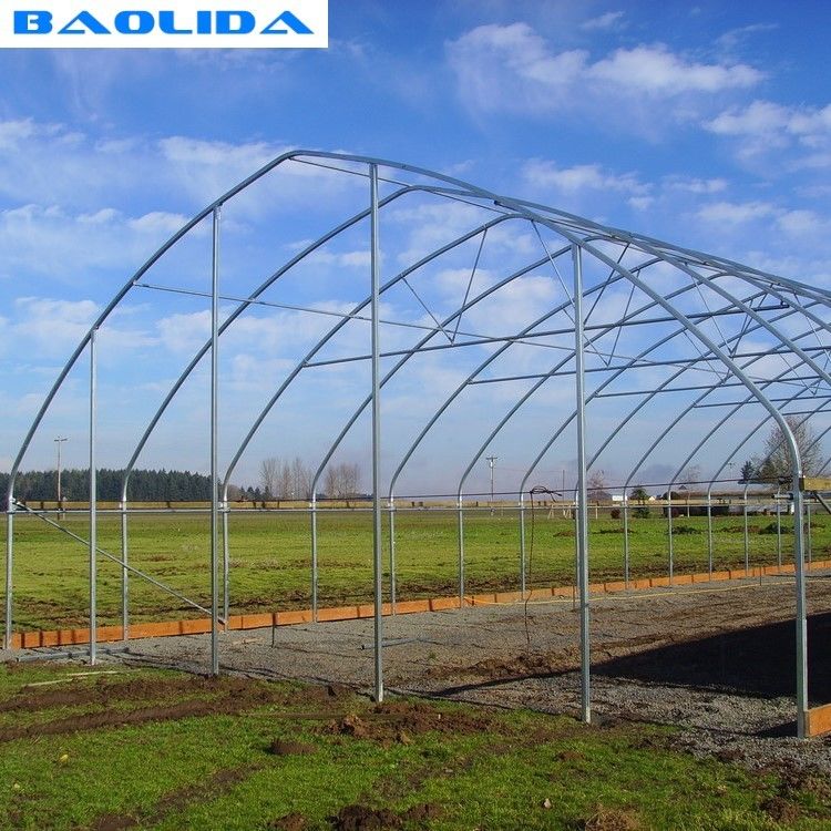 Large Mental Material Single Span Tunnel Plastic Greenhouse Uv