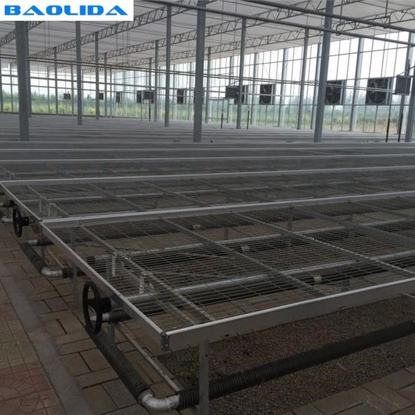 Agricultural Plastic Greenhouse Benches Economical Practical Ebb And Flow