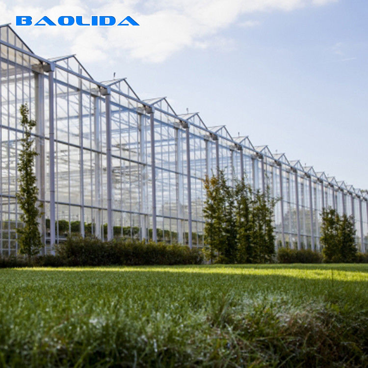Gothic Venlo Type Greenhouse Agricultural Stable Structure Easily Assembled