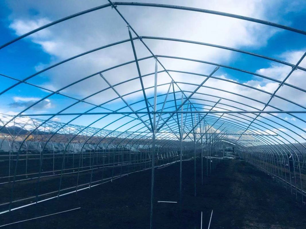 Indoor Outdoor Greenhouse Tent Small / vegetable Grow Tent Easy Installed