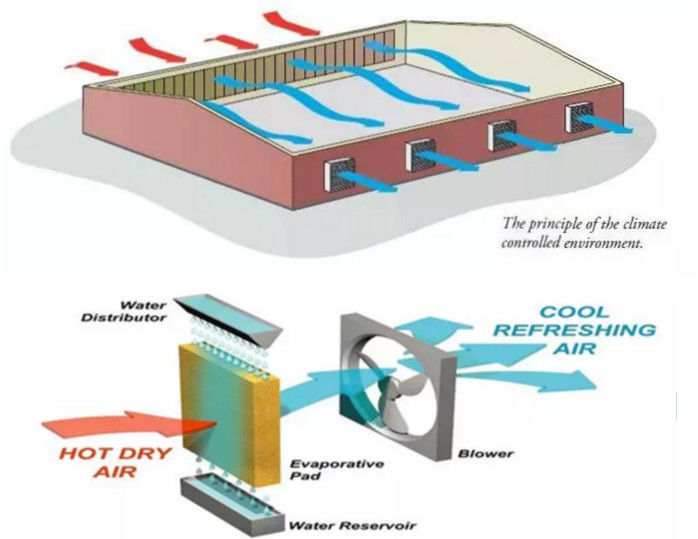 Diy Greenhouse Cooling System / Greenhouse Cooling Pad System ISO9001