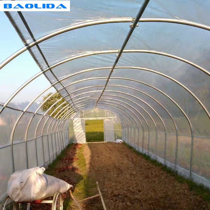 Agricultural Plastic Film Greenhouse Large Size High Latitude Area