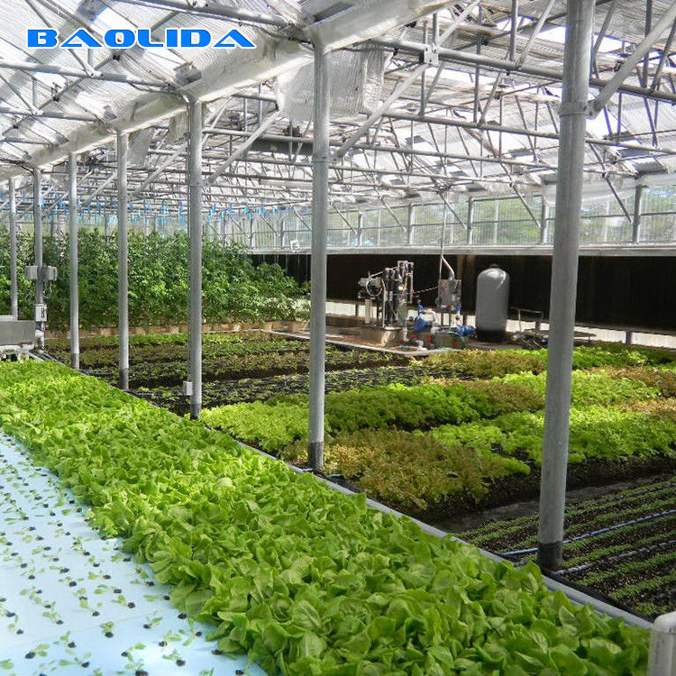 Commercial Greenhouse Rolling Benches Transportable Breeding Nursery