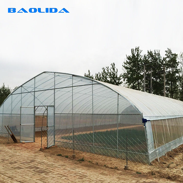 Plastic Covering Polyethylene Film Greenhouse / Single Span Tunnel