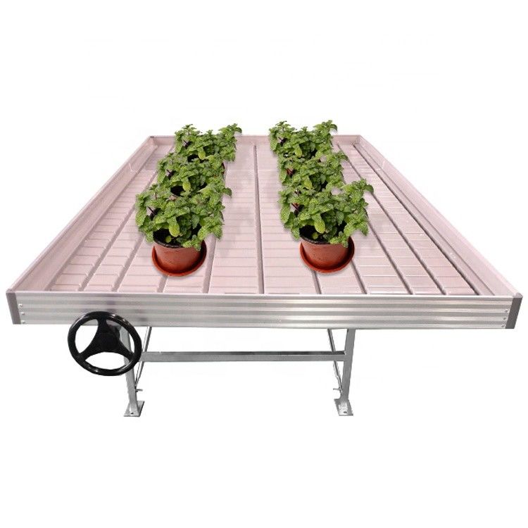 Commercial Greenhouse Rolling Benches / Seedbed Wire Greenhouse Bench