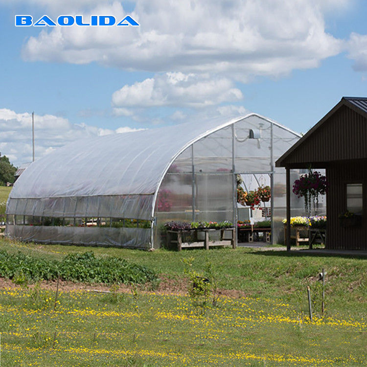 High Hoop Tunnel Polyethylene Film Greenhouse For Agriculture