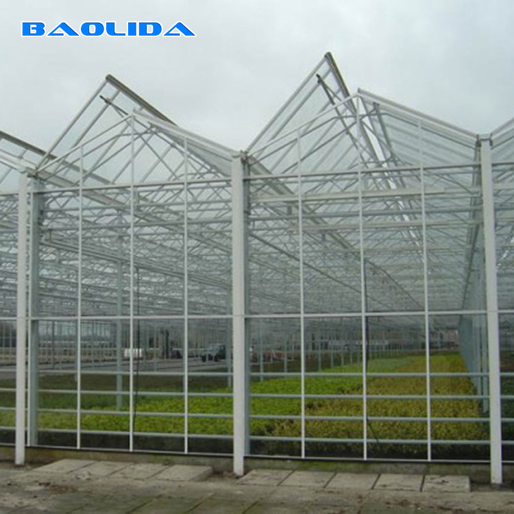 Gothic Venlo Type Greenhouse Agricultural Stable Structure Easily Assembled