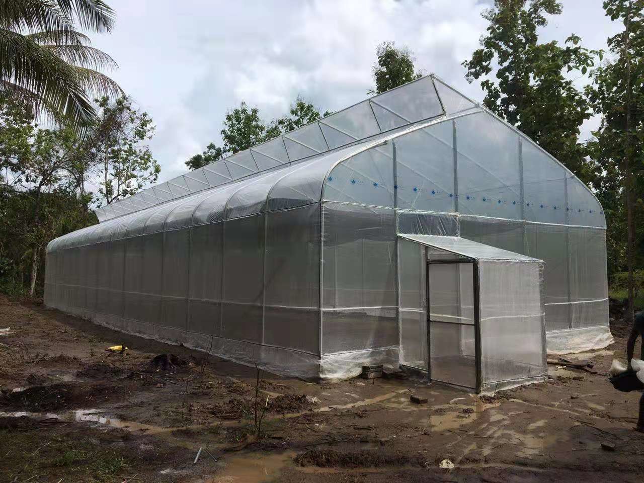 Polyethylene Tunnel 6 Mil Plastic Covering Greenhouse