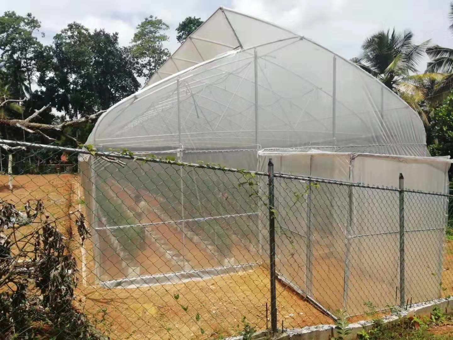 Polyethylene Tunnel 6 Mil Plastic Covering Greenhouse