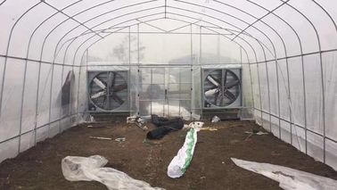 Vegetables Plant Polyethylene Film Greenhouse With Cooling System Easy Install