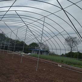Polyethylene Film Singlespan Growing Greenhouse For Vegetables Fruits