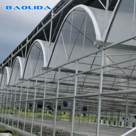 Agricultural Shed Large Polycarbonate Sheet Greenhouse Steel Pipe Light Material