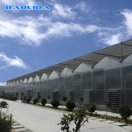 Agricultural Shed Large Polycarbonate Sheet Greenhouse Steel Pipe Light Material