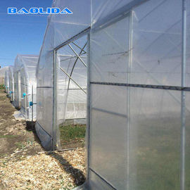 Singlespan Growing Farming Polyethylene Film Greenhouse For Vegetables