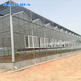Large Size Generator Plastic Sheet Greenhouse With Project Commercial Hydroponic Systems