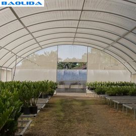 Tomato Growing Naturally Ventilated Greenhouse Plastic Film Greenhouse