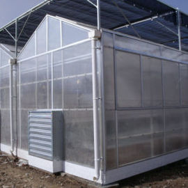 Venlo Type Greenhouse