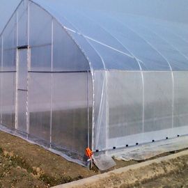 Hot Dip Galvanized Steel 4m Single SpanWaterproof Film Cover 9m Tunnel Plastic Greenhouse
