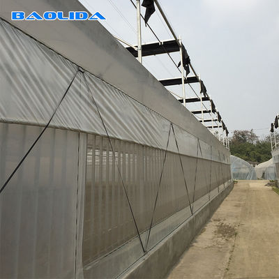 Cooling System Plastic Film200 Micron Reinforced Plastic Sheeting Greenhouse Multi Span Greenhouse
