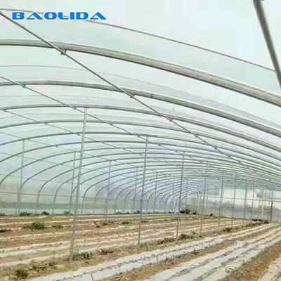 Double Arches Double Film Greenhouse 10m Width Tunnel Plastic Greenhouse