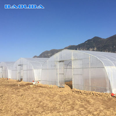 Tunnel Cover Reinforced Clear Poly Sheeting Polyethylene Film Greenhouse