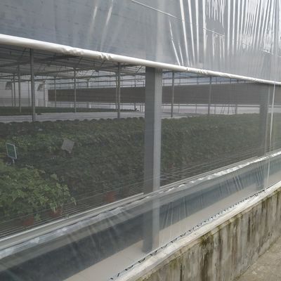 Vegetable Polyethylene Plastic Sheeting Greenhouse Galvanized Steel Frame