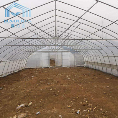 Snow Resistant Large Pointed Roof Tunnel Plastic Greenhouse No Soldering