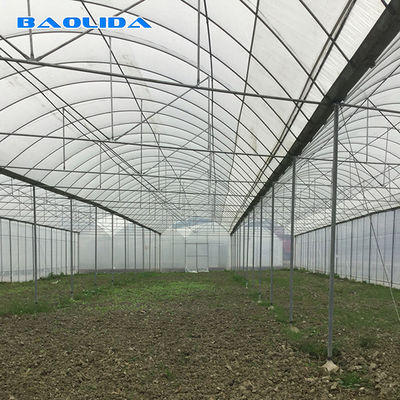 Agricultural Commercial Industrial Plastic Film Tomato Grow System 150 Micro Multi Span Greenhouse