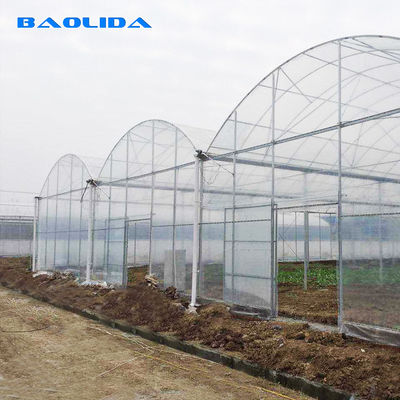 Inner Shading System Multi Arch High Tunnel Greenhouse Clear Multi Span Greenhouse