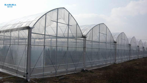 Prefabricated Tunnel Plastic Film Multispan Greenhouse Plastic Film Greenhouse