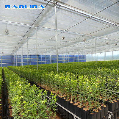 Galvanized Steel Pipe Agricultural Plastic Film Multi Span Tunnel Greenhouse For Vegetable