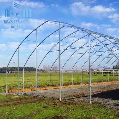 Strong Packing Polytunnel Greenhouse Hobby Commercial Agricultural Support