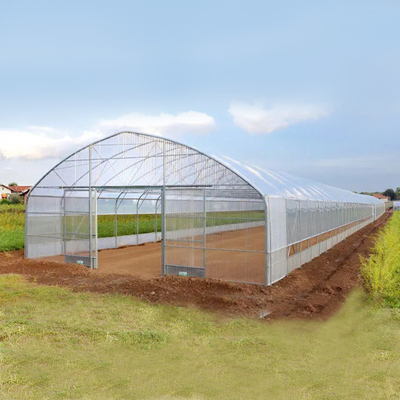Big Size Plastic Poly Tech Greenhouse / Agricultural Single Span Greenhouse