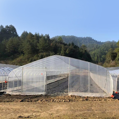 Big Size Plastic Poly Tech Greenhouse / Agricultural Single Span Greenhouse