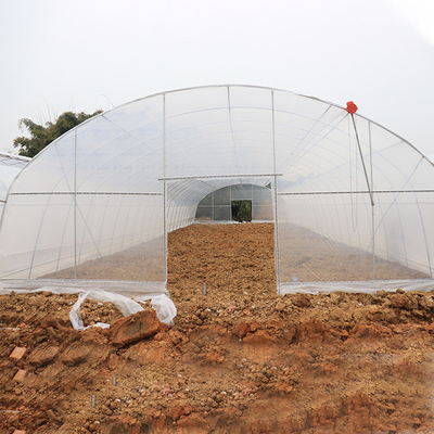 Sample Tunnel Plastic Greenhouse / Plastic Vegetable Single Span Greenhouse