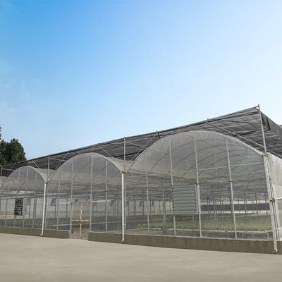Poly Film Multi Span Greenhouse with Rolling Benches Seeding Nursery Ventilation