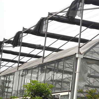 Grape Multi Span Greenhouse With Grape Trellising System To Malaysia