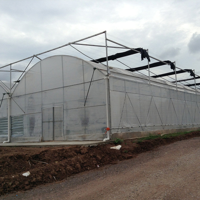 Long Life Span Heavy Duty Plastic Greenhouse High Large Size Available