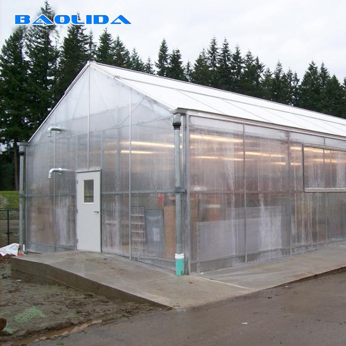 Knockdown Mini Greenhouse Tent / Home Outdoor Plant Tent Aluminum Frame
