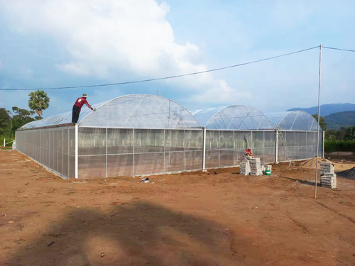 Latest company case about Sri Lanka 24*36m Multi-span Greenhouse