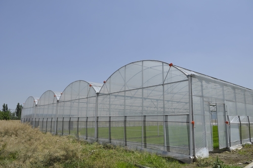 Latest company case about Malaysia 24*48m Multi-span Greenhouse