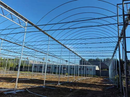 Latest company case about Indonesia Multi-span Greenhouse construction site