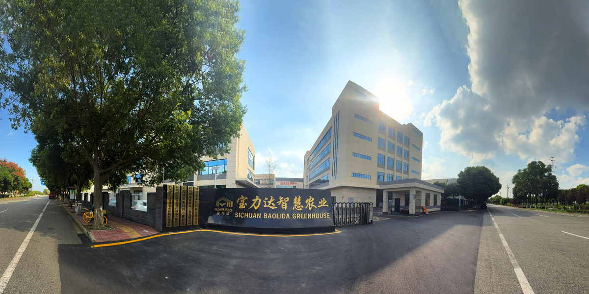 China Sichuan Baolida Metal Pipe Fittings Manufacturing Co., Ltd. company profile