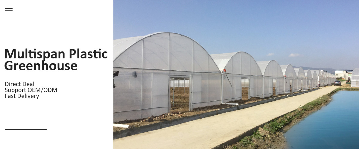 China best Multi Span Greenhouse on sales