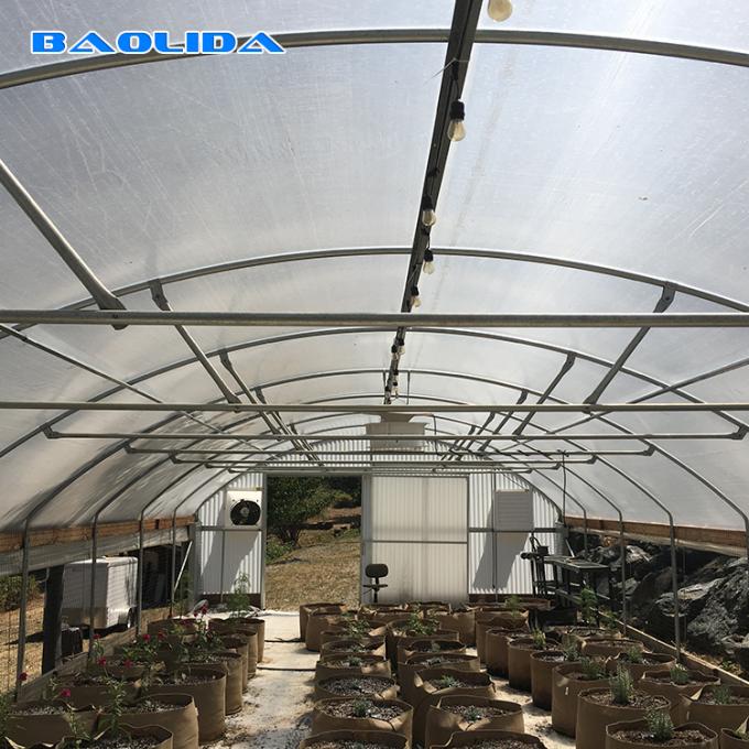 Multi Span Fabric Automated Blackout Greenhouse / Light Deprivation System