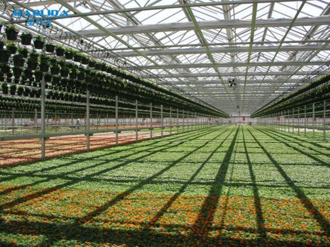 High Tech Intelligent Multi Span Greenhouse With Optional System
