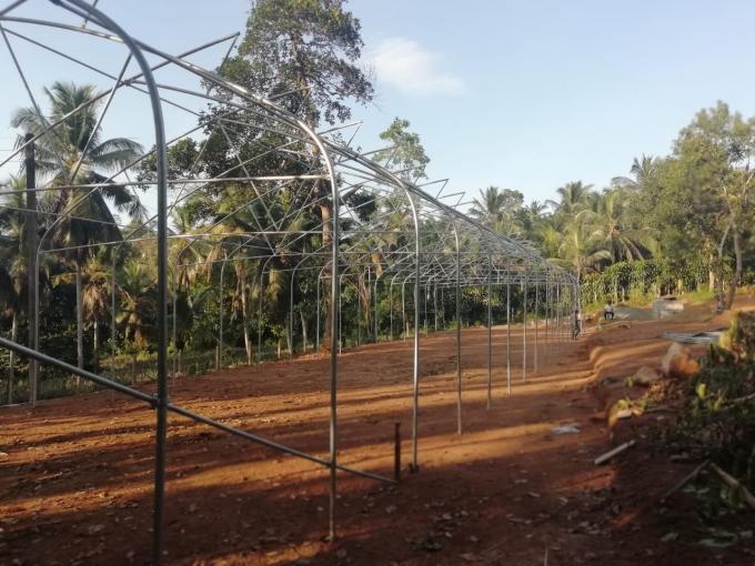 UV Resistant Single Span Clear Plastic Greenhouse