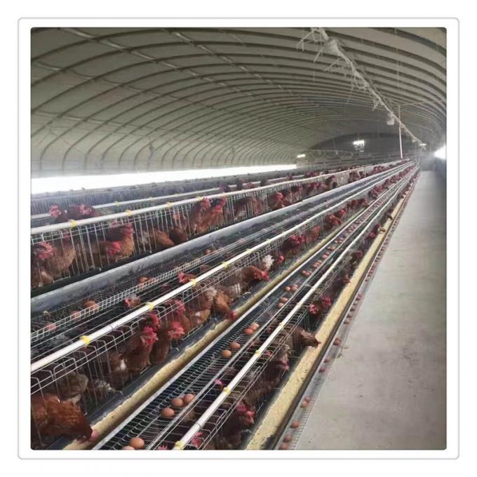 Agriculture Poultry Farming Chicken Heated Greenhouse Automatic